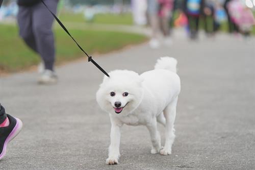 活動會場