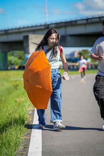 賽道照片